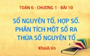 Số nguyên tố là gì? Hợp số là gì? Cách phân tích một số ra thừa số nguyên tố - Lý thuyết Toán 6 bài 10